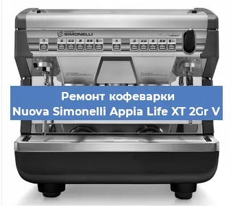 Чистка кофемашины Nuova Simonelli Appia Life XT 2Gr V от накипи в Челябинске